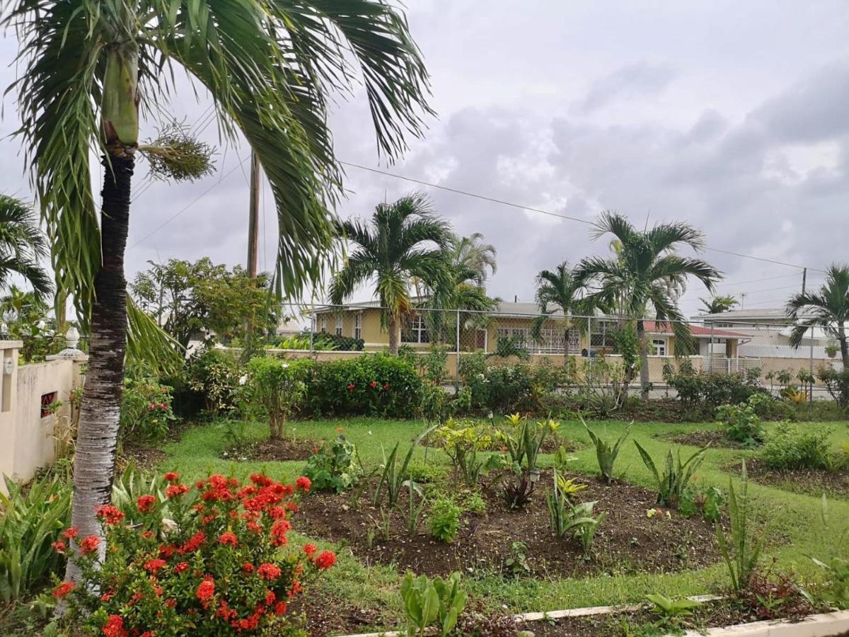Ventnor House Apartments Bridgetown Eksteriør billede